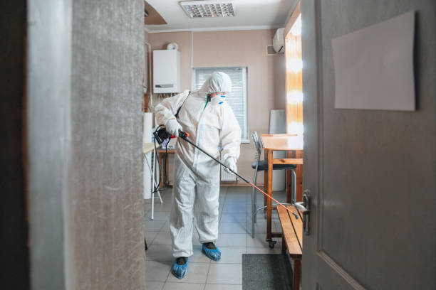 Best Mold Odor Removal Services  in Bowdon, GA